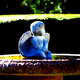Image for article titled Shooting Challenge: Cellphone Gallery Part 5